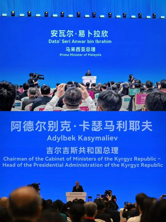 出席启动仪式的各国领导人